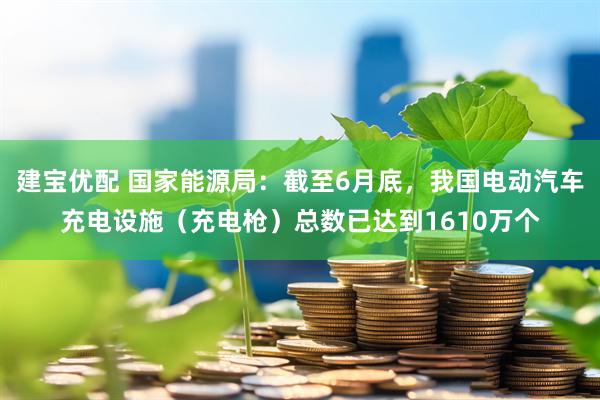 建宝优配 国家能源局：截至6月底，我国电动汽车充电设施（充电枪）总数已达到1610万个