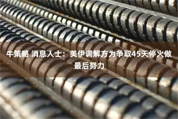 牛策略 消息人士：美伊调解方为争取45天停火做最后努力